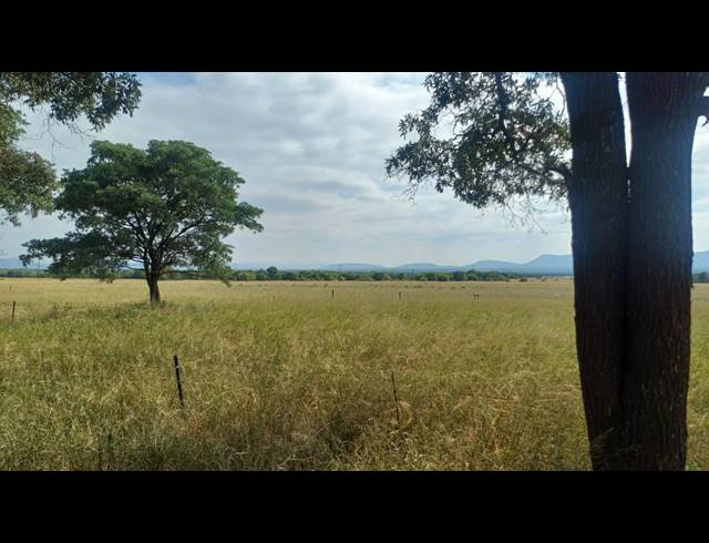 249.90HA FARM FOR SALE IN WATERVAL S H